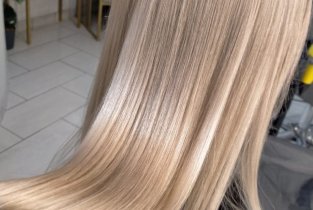 Hirondelle (Ирондель)