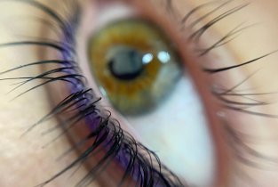 Velvet lashes & brows