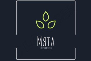 Мята