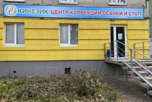 Кинезик