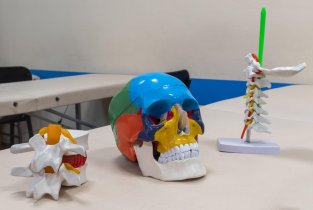 Новосибирский институт кинезиологии