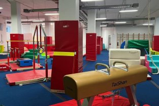 Европейский Гимнастический Центр в Троицке