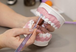Регулярная чистка зубов - 4650 ₽