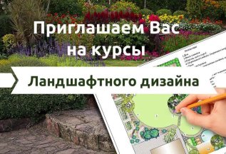 Курсы ландшафтного дизайна