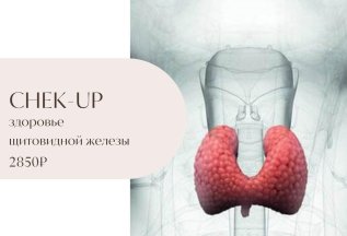 CHECK-UP Здоровье щитовидной железы