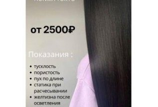 Ботокс для волос HONMA TOKYO от 2500 руб