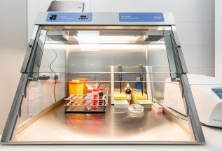 Подбор донора ооцитов с репродуктивным психологом