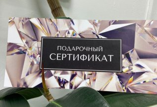 Подарочные сертификаты💕