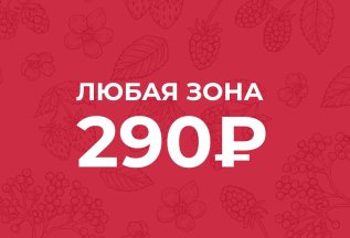 Любая зога 290 рублей при наличии клубной карты