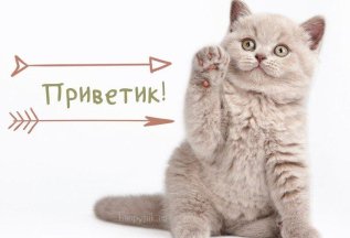 Акция! Бонусы за друзей!