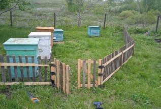 Индивидуальные экскурсии на пасеку