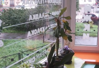 Педикюр + Гель лак 1800рублей