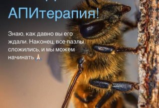 Приглашаем на курс 