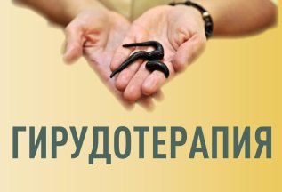 Семинар по Гирудотерапии 6.02.-8.02