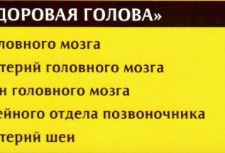 КОМПЛЕКС УСЛУГ «ЗДОРОВАЯ ГОЛОВА»