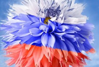 Система скидок для участников СВО и их семей