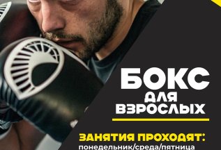 Бокс для взрослых