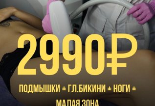 ЛЭ Все тело 2990