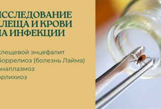 Исследование клещей и крови на инфекции