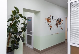 Лабораторные анализы со скидкой: Стоп анемия+витамины+печень