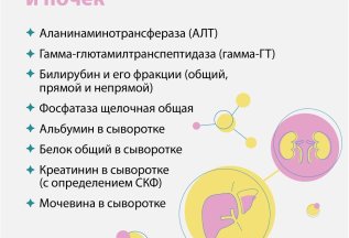 Анализы со скидкой 30% «Скрининг функции печени и почек»