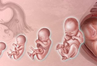 Акция: Первое знакомство