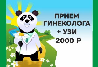 Прием гинеколога + УЗИ органов малого таза 2000 руб.