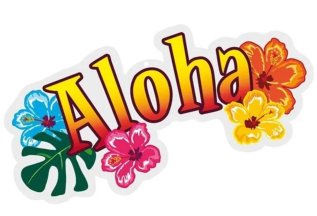 🍍ALOHA!!! ГАВАЙСКАЯ ВЕЧЕРИНКА 🍍в честь Дня Рождения центра