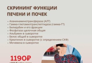 Скрининг функции печени и почек