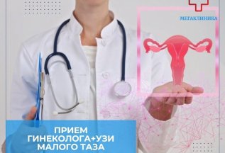 Прием гинеколога + УЗИ