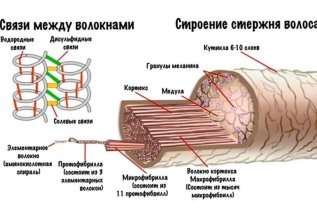 Жара и завиток (часть 1)