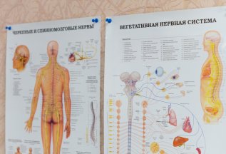 Никаких дополнительных платежей