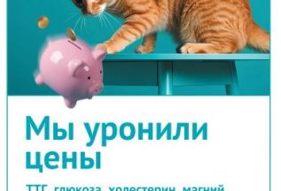«У нас упал уровень цен»