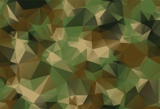 Скидка военнослужащим СВО