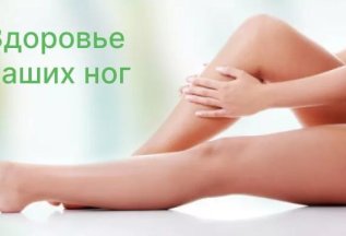 УЗИ вен нижних конечностей + консультация флеболога