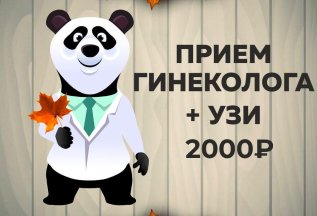 Прием гинеколога + УЗИ органов малого таза 2000 руб.