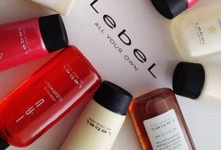 Мы партнеры профессионального бренда для волос Lebel.