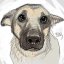 agapkin_2025