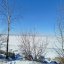 r_fedor_marinanl8