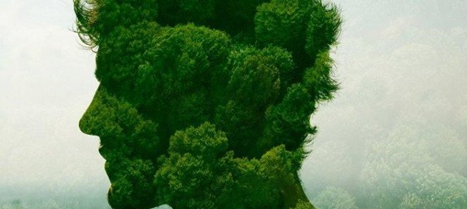 Кодировка от алкоголизма от 6000 рублей