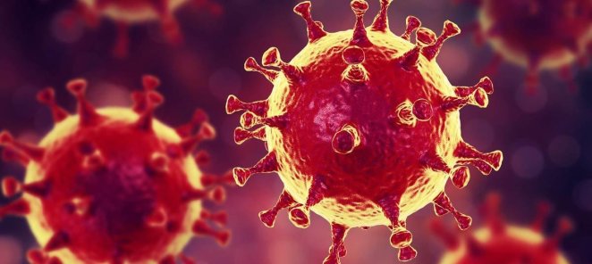 Коронавирус — это один из 250 вирусов, известных науке.