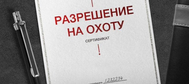 Подарочный сертификат на любую сумму