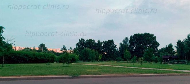 В понедельник, вторник с 10.00-14.00 скидка на услуги 5%