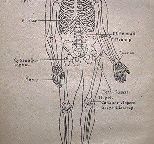 Подростковый возраст. Ортопедия. Эффективное лечение!