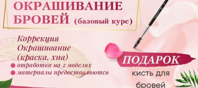 Курс Бровист Расширенный за 4000