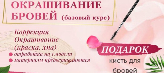 Курс Бровист за 3500 рублей