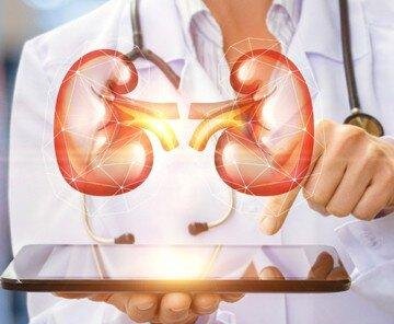 Check-up «Здоровье почек», 