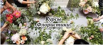 Новинка - курс 