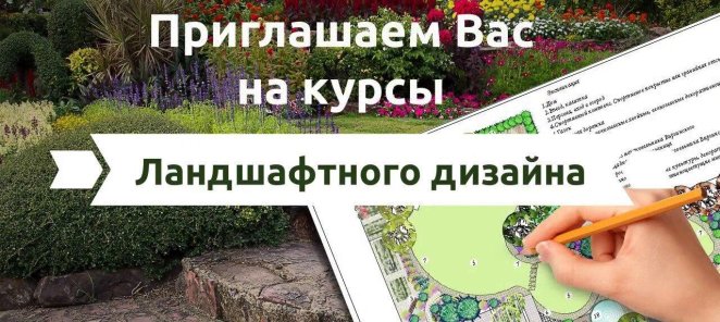 Курсы ландшафтного дизайна