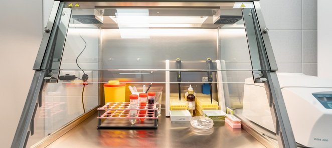 Подбор донора ооцитов с репродуктивным психологом